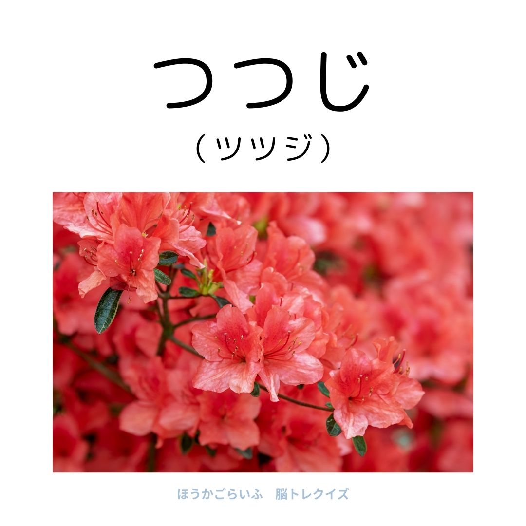 高齢者向け（無料）言葉の並び替えで脳トレしよう！文字（ひらがな）を並び替える簡単なゲーム【花の名前】健康寿命を延ばす鍵